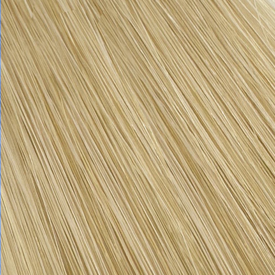 Swedish Blonde shade framed hair Blend of Ashveil and Sunset Blond (#14/22)