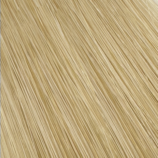 Swedish Blonde shade framed hair Blend of Ashveil and Sunset Blond (#14/22)